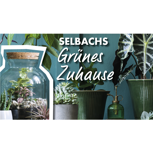 Selbach Ihr Gartencenter In Bergisch Gladbach