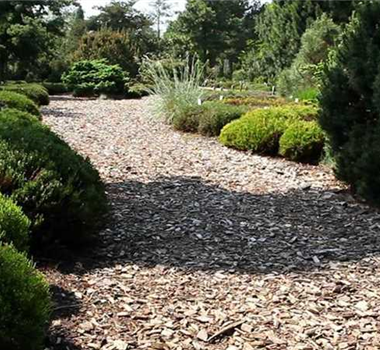 Allgemeine Gartenarbeit im Juli