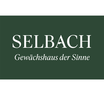 Salvia elegans 'Scarlet Tangerine' Salvia elegans 'Scarlet Tangerine'